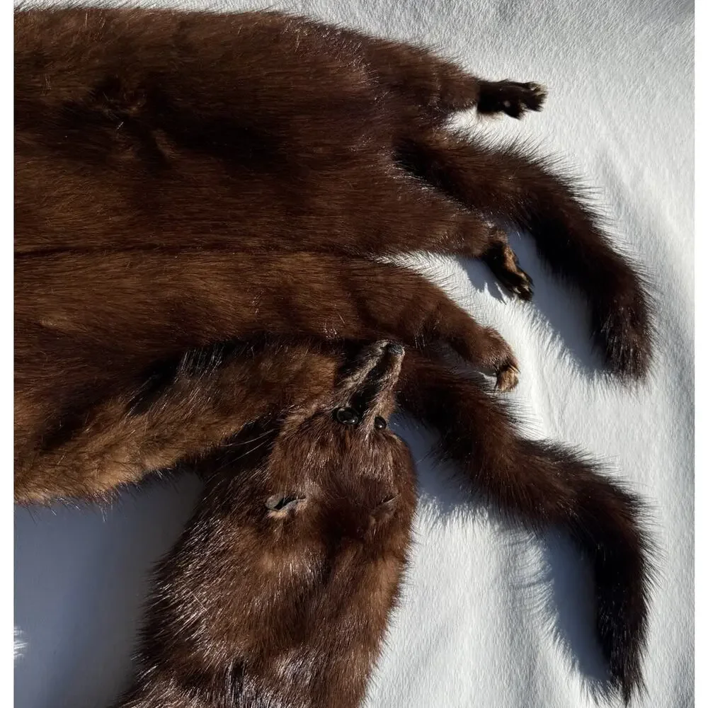 Vintage 4 Mink Fur Stole Pelts Scarfs Heads Full Body Taxidermy 1940s 1950s
